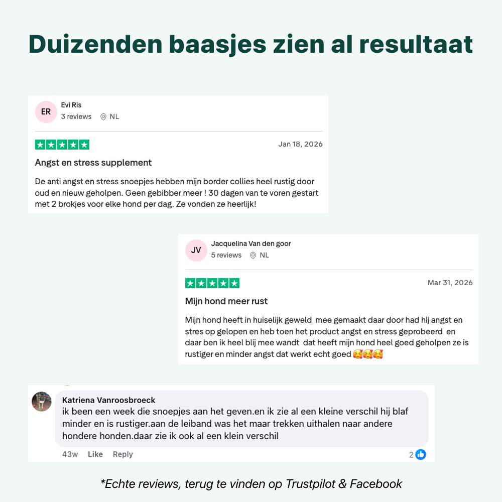 Anti-Stress & Angst | 100% natuurlijk