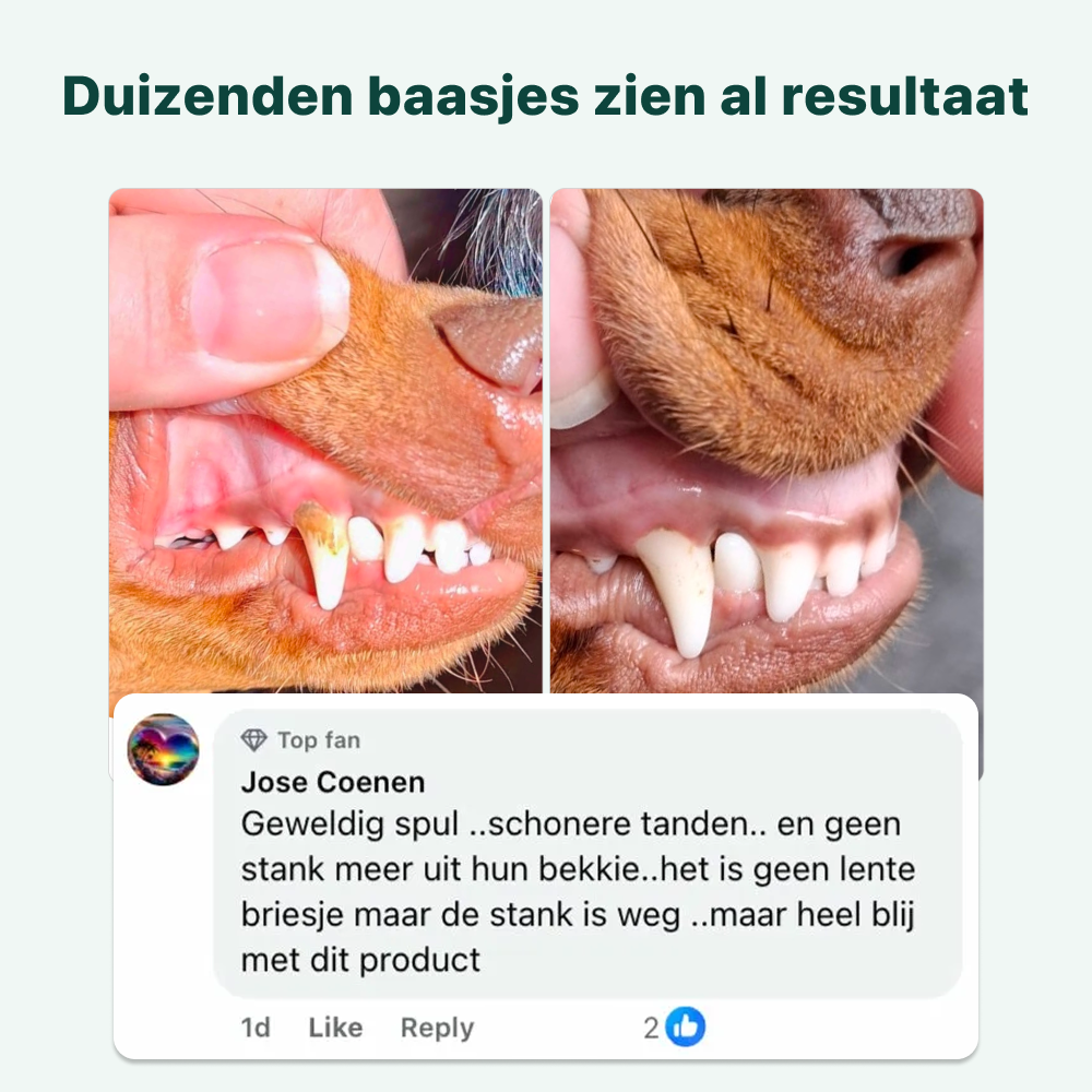 Dental Bright | 100% natuurlijk | 60 schepjes