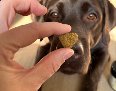 Anti-Jeuk GroteHond⁺ 🌿 90 snoepjes