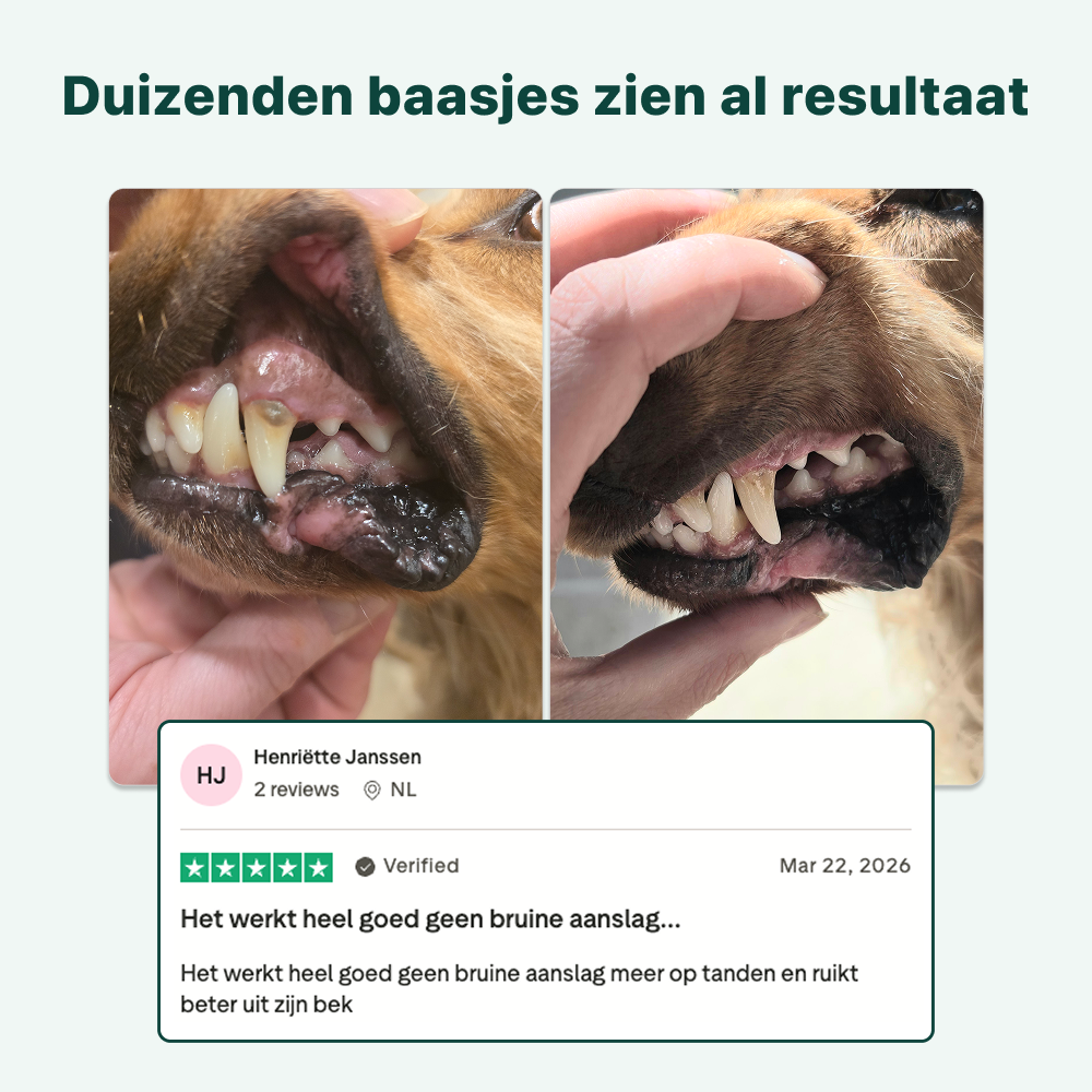 Dental Bright | 100% natuurlijk | 60 schepjes