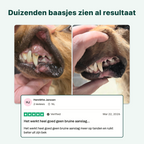 Dental Bright | 100% natuurlijk | 60 schepjes