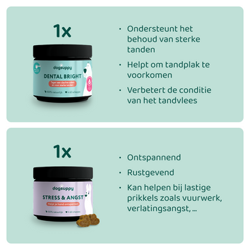 [BUN] Gebit & Stress