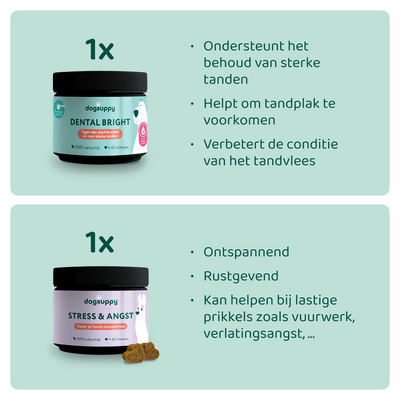 [BUN] Gebit & Stress