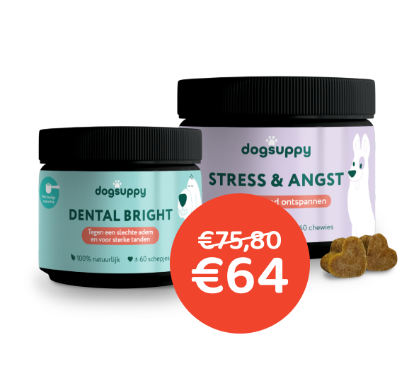 [BUN] Gebit & Stress