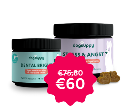 [BUN] Gebit & Stress