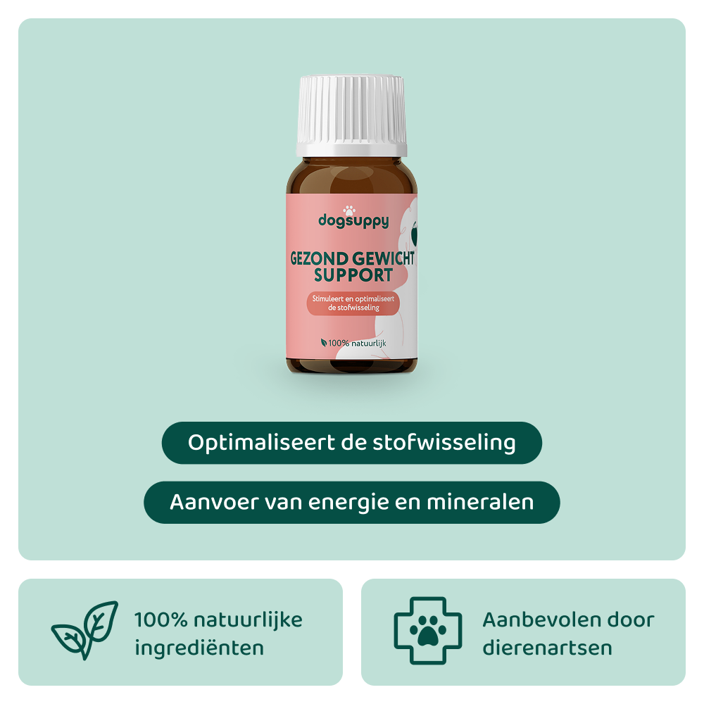 Gezond Gewicht Support 🌿 100 ml