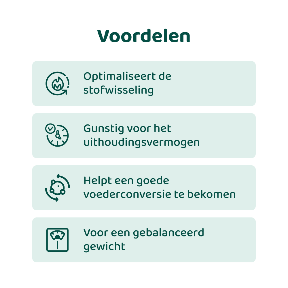 Gezond Gewicht Support 🌿 100 ml