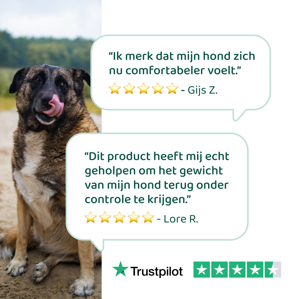 Gezond Gewicht Support 🌿 100 ml