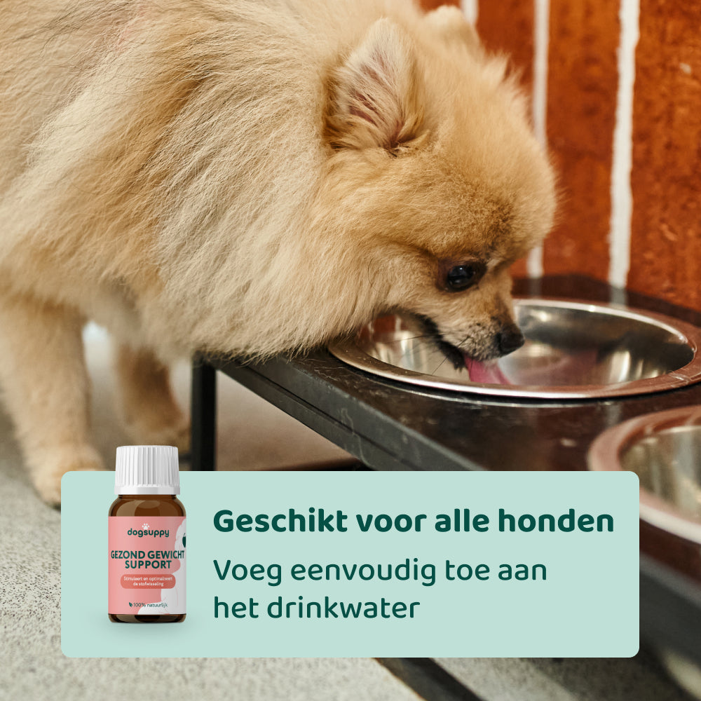Gezond Gewicht Support 🌿 100 ml