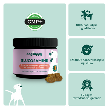 Glucosamine | Bevordert soepele bewegingen | 100% natuurlijk | 60 snoepjes