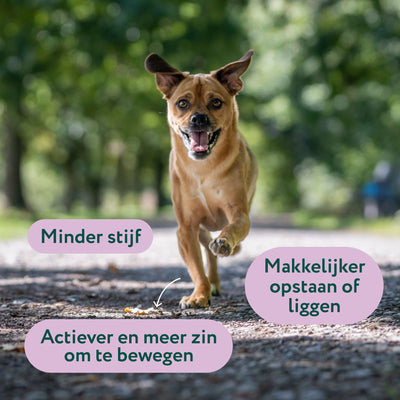 Glucosamine | Bevordert soepele bewegingen | 100% natuurlijk | 60 snoepjes