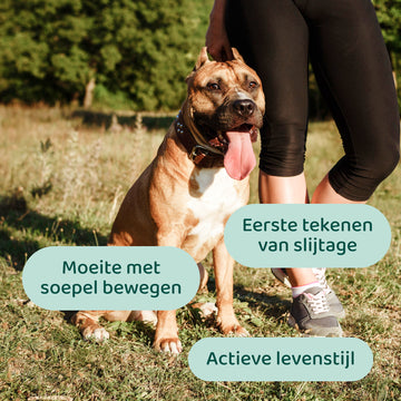 Glucosamine 🌿 60 snoepjes