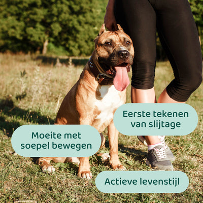 Glucosamine 🌿 60 snoepjes