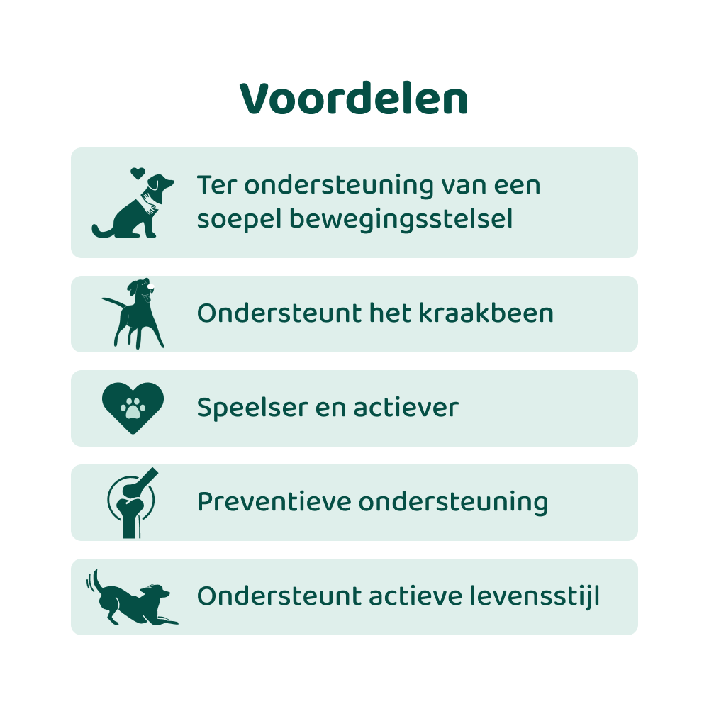 Glucosamine 🌿 60 snoepjes