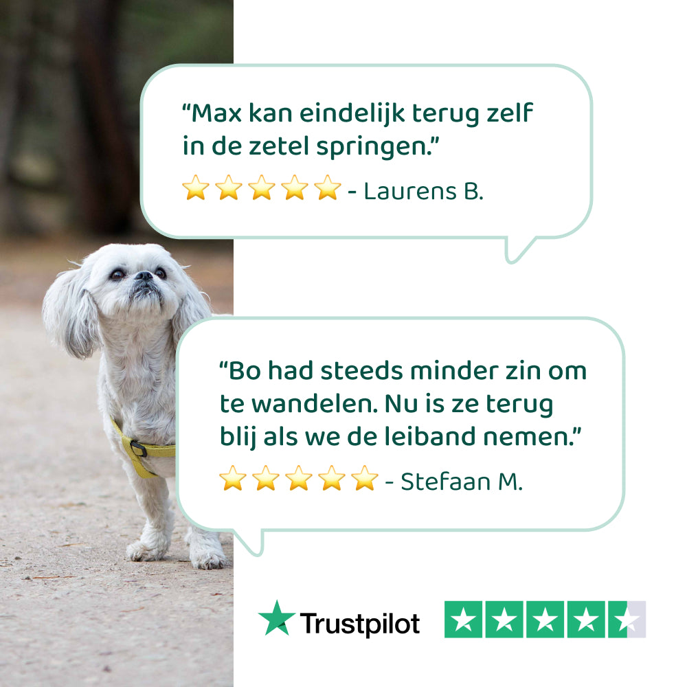 Glucosamine 🌿 60 snoepjes
