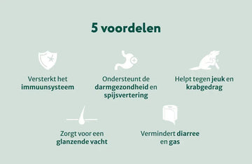 Grote rassen: Probiotica Forte zonder kip/lam/vlees | Ondersteunt darmflora en spijsvertering | 180 snoepjes (maxi-pack)