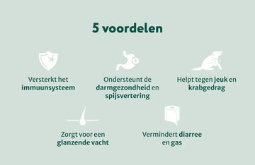 Grote rassen: Probiotica Forte zonder kip/lam/vlees | Ondersteunt darmflora en spijsvertering | 180 snoepjes (maxi-pack) abonnement