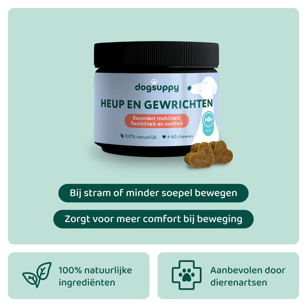 Heup & Gewrichten 🌿 60 snoepjes
