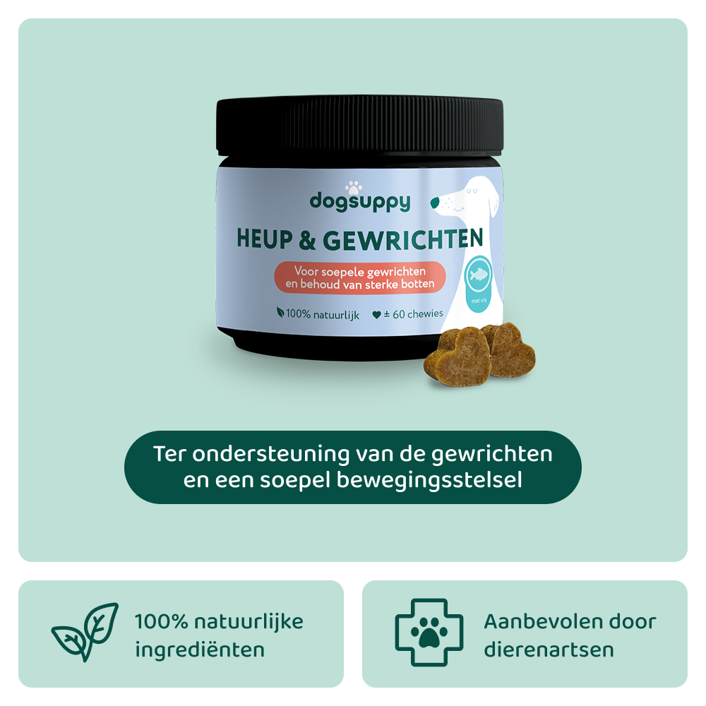 Heup & Gewrichten 🌿 60 snoepjes