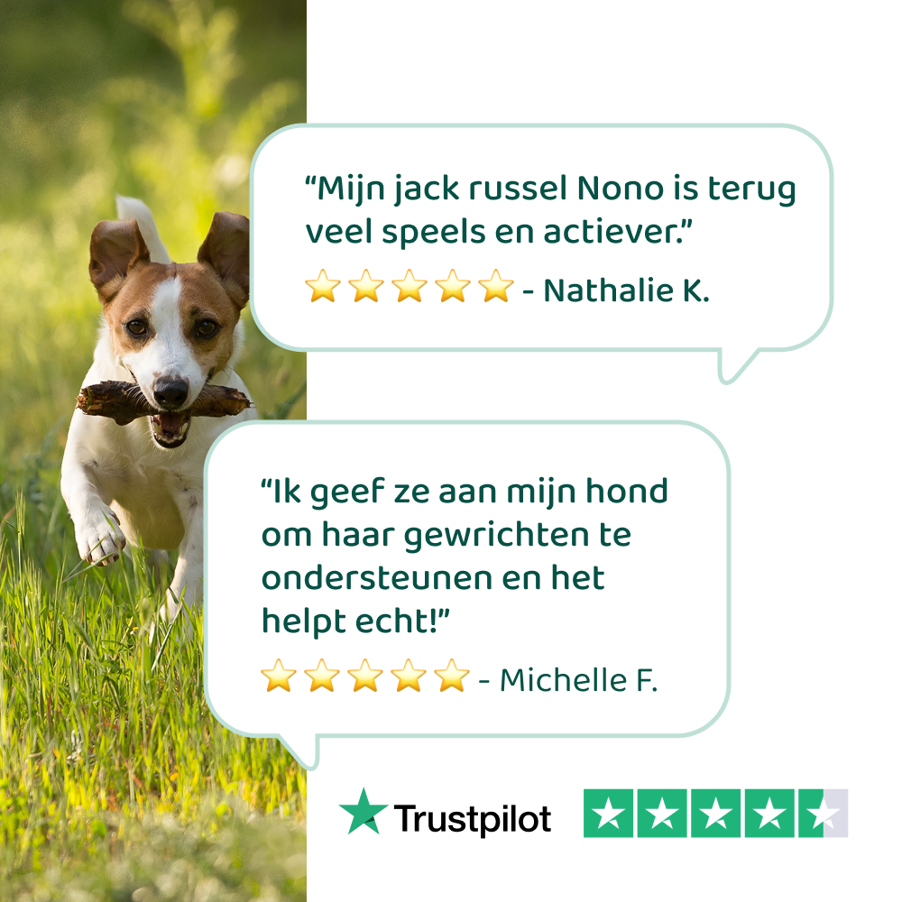 Heup & Gewrichten 🌿 60 snoepjes