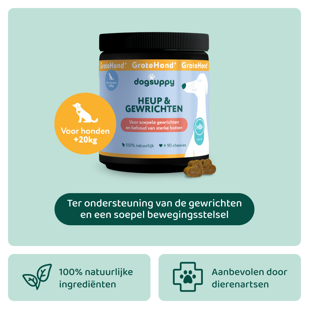 Heup & Gewrichten GroteHond⁺ 🌿 90 snoepjes