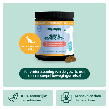 Heup & Gewrichten GroteHond⁺ 🌿 90 snoepjes