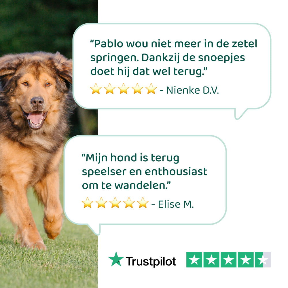 Heup & Gewrichten GroteHond⁺ 🌿 90 snoepjes