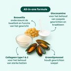 Heup & Gewrichten GroteHond⁺ 🌿 90 snoepjes
