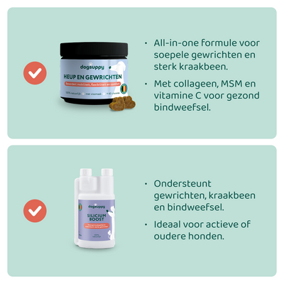 [BUN] Soepele Gewrichten