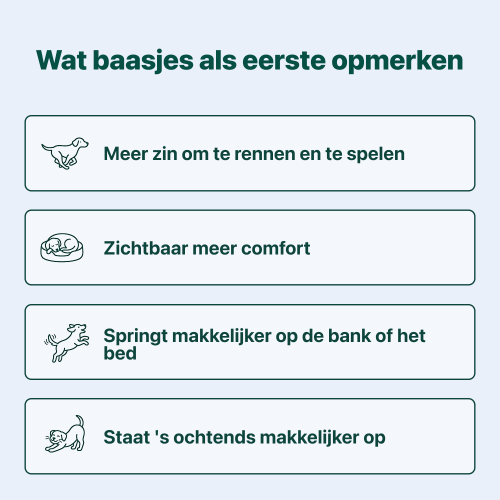 Heup & Gewrichten | 100% natuurlijk | 60 snoepjes