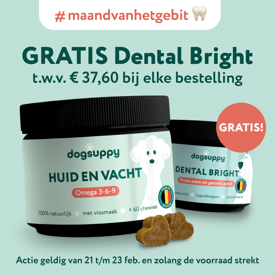 Huid & Vacht met Omega 3-6-9 | 100% Natuurlijk | 60 Snoepjes