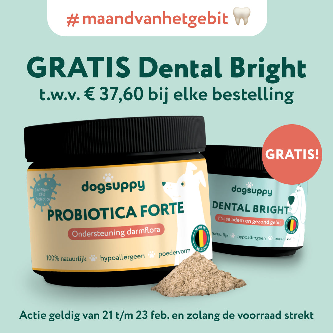 Probiotica Forte poeder | Bevat GEEN zetmeel en eiwitten | Hypoallergeen | 60 schepjes