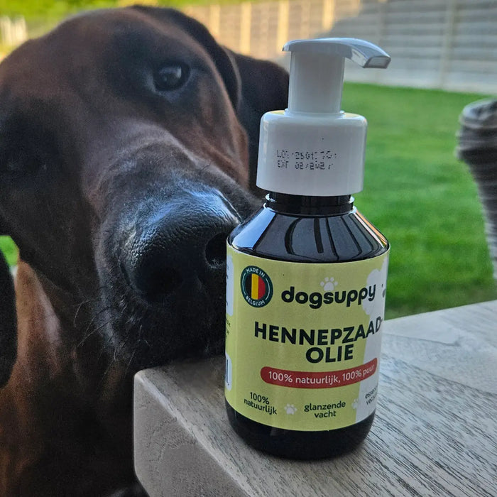 Hennepzaadolie 🌿 250 ml