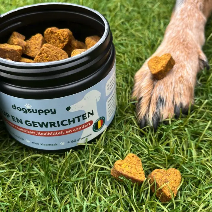 Heup & Gewrichten 🌿 60 snoepjes