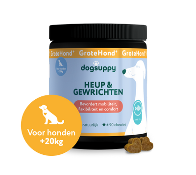 Heup & Gewrichten GroteHond⁺ 🌿 90 snoepjes