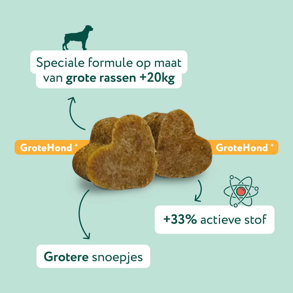 Heup & Gewrichten GroteHond⁺ | 100% natuurlijk | 90 snoepjes