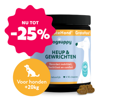 Heup & Gewrichten GroteHond⁺ 🌿 90 snoepjes