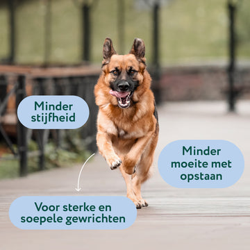 Maxi-Pack | Heup & Gewricht voor grote honden | 100% natuurlijk | 180 snoepjes