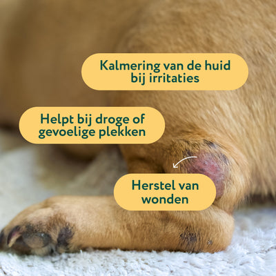 Honingzalf | Ondersteunt wondgenezing en huidherstel | 100% natuurlijk | 90 ml