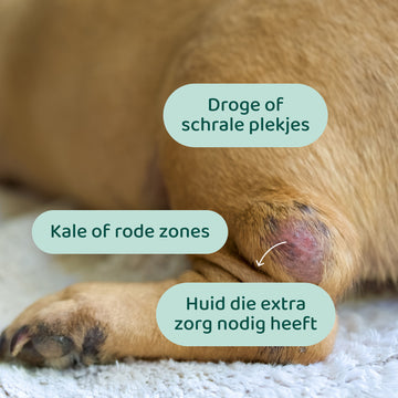 Honingzalf 🌿 125 ml