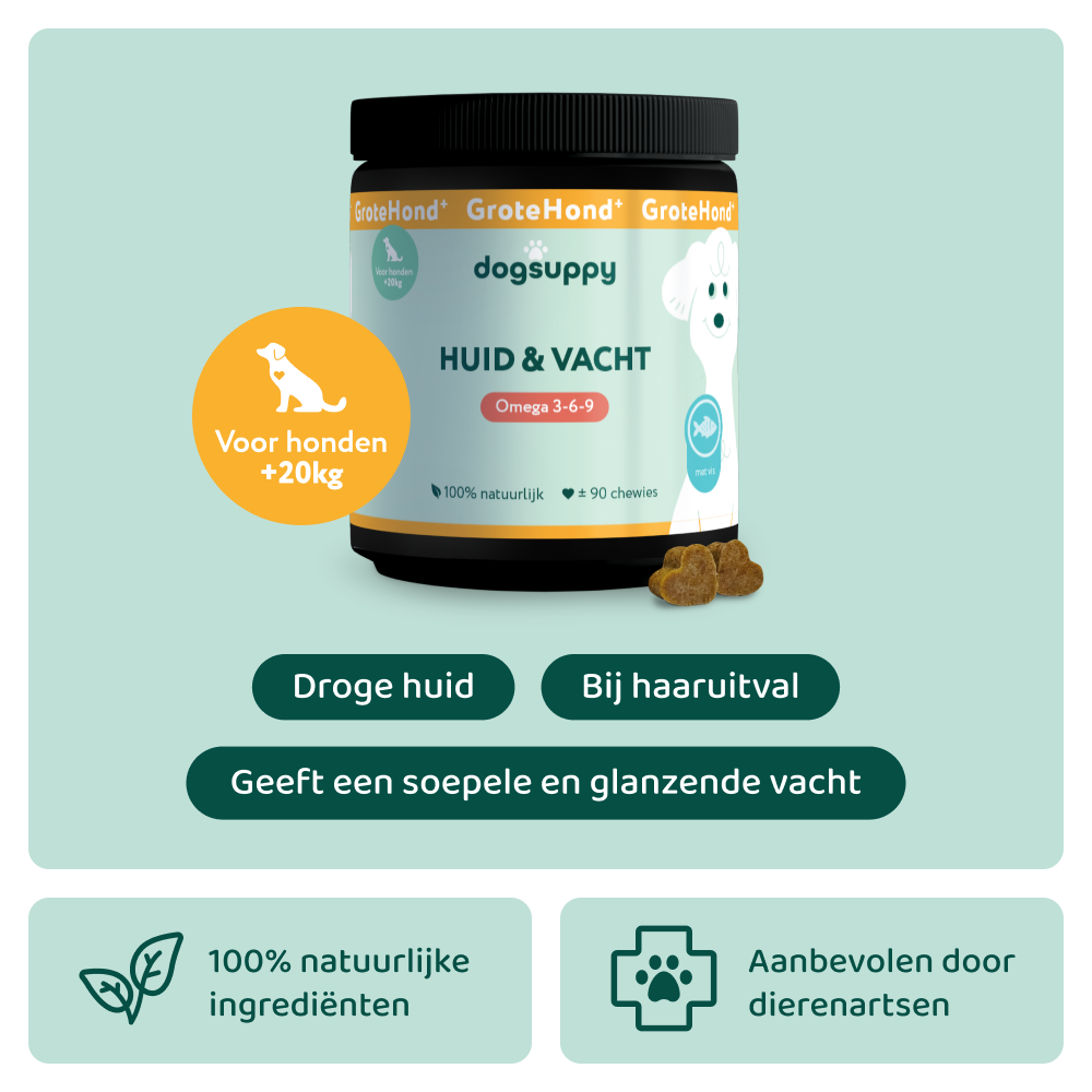 Huid & Vacht GroteHond⁺ 🌿 90 snoepjes