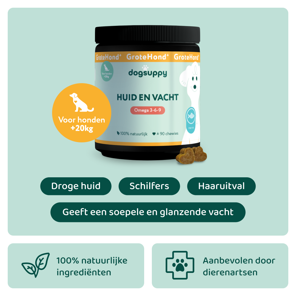 Huid & Vacht GroteHond⁺ 🌿 90 snoepjes
