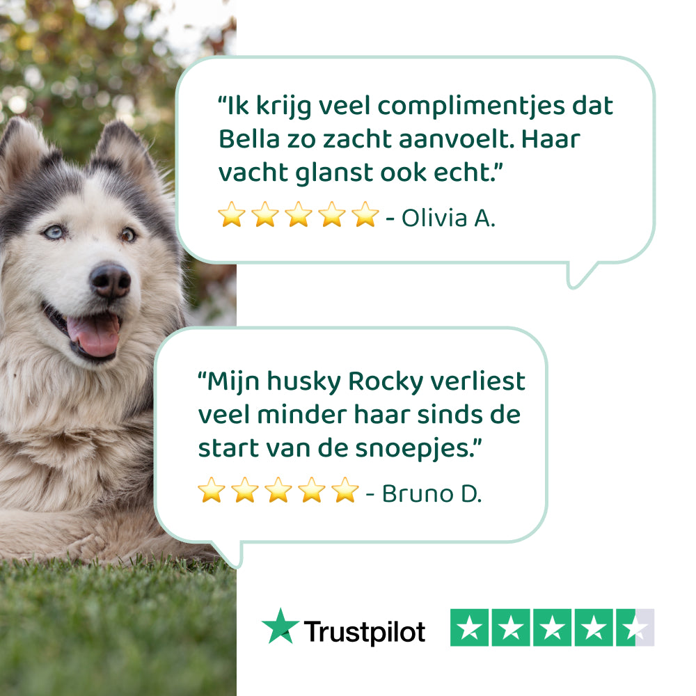 Huid & Vacht GroteHond⁺ 🌿 90 snoepjes