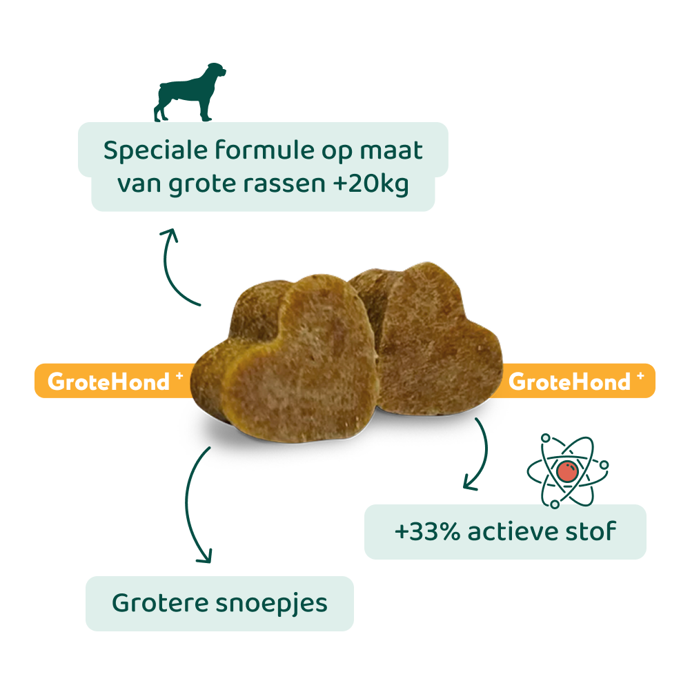 Huid & Vacht GroteHond⁺ 🌿 90 snoepjes