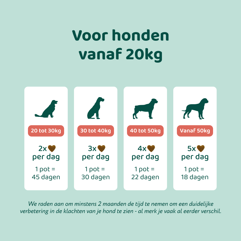 Anti-Jeuk GroteHond⁺ 🌿 90 snoepjes