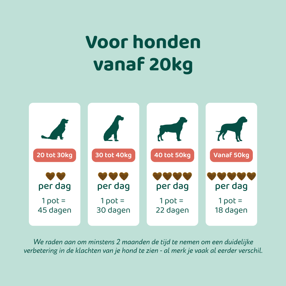 Anti-Jeuk GroteHond⁺ 🌿 90 snoepjes