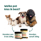 Anti-Jeuk Probiotica 🌿 60 snoepjes