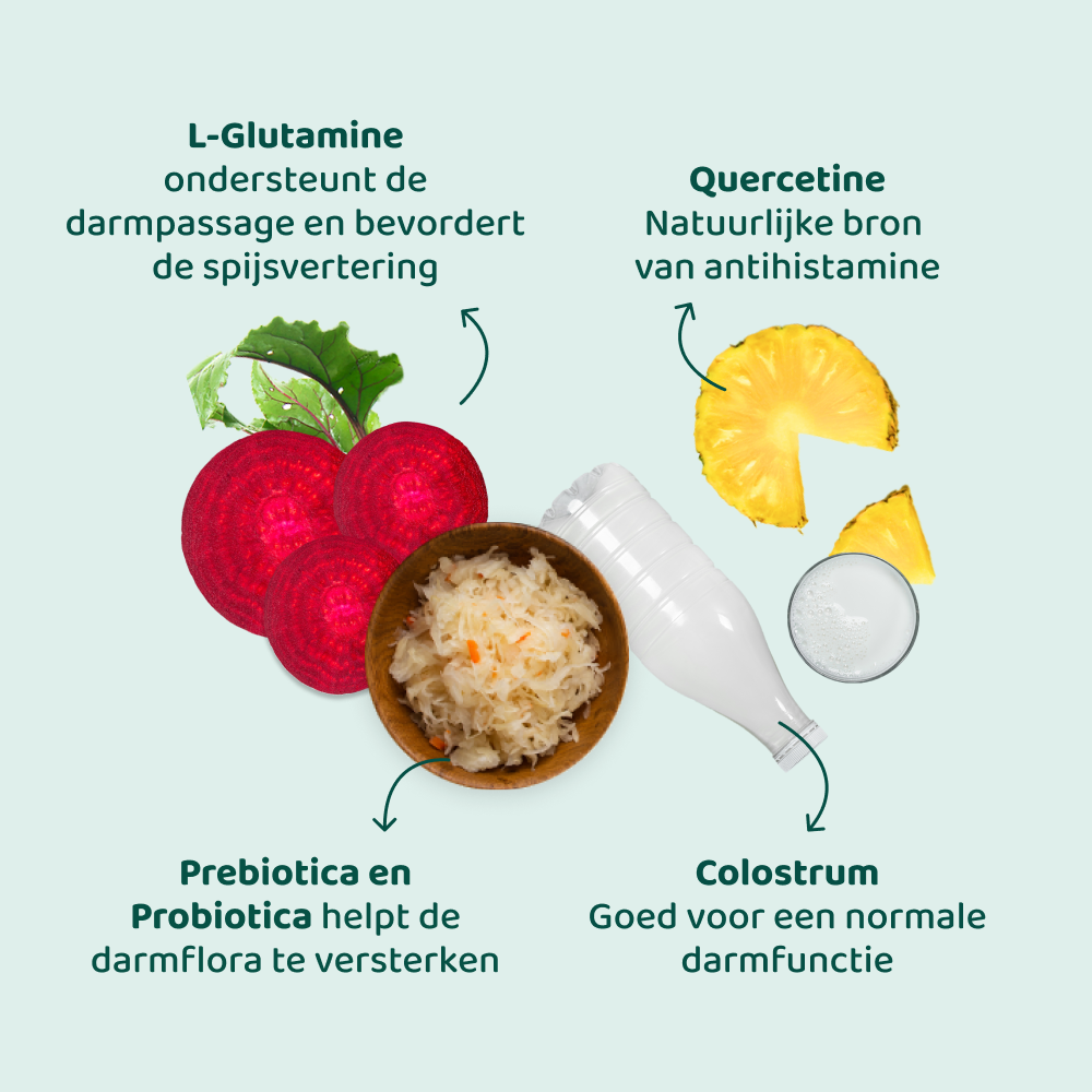 Anti-Jeuk GroteHond⁺ 🌿 90 snoepjes