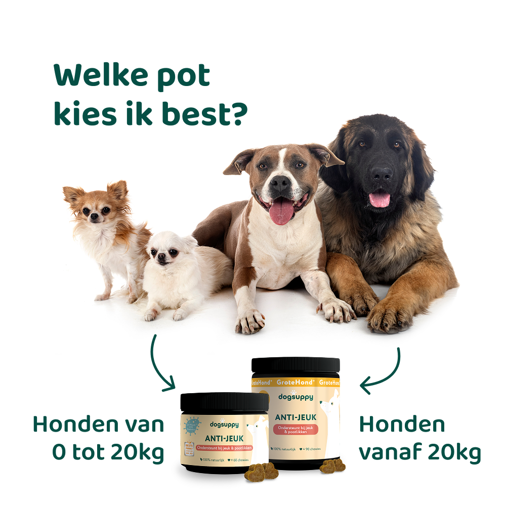Anti-Jeuk GroteHond⁺ 🌿 90 snoepjes