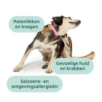 Anti-Jeuk GroteHond⁺ 🌿 90 snoepjes